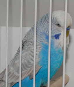 107-6-1.jpg (212920 bytes)