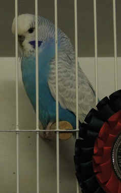 159.JPG (174501 bytes)