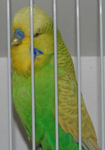 5-1-2.jpg (212055 bytes)