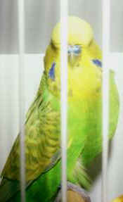 601-5.jpg (6546 bytes)